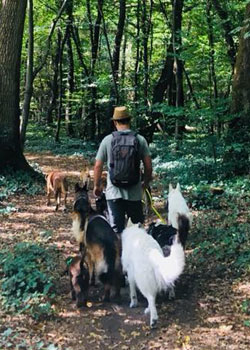 kevin caria educateur canin